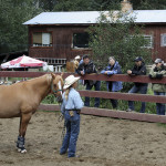 Horsewhisperer at Mica Mountain Lodge