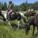 Guided Horse Riding at Mica Mountain Lodge